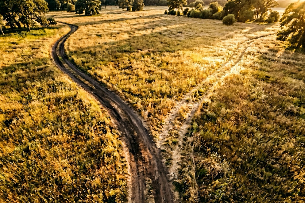 An aerial view of a fork in a road in golden light, one path well worn and one less traveled but brighter.
